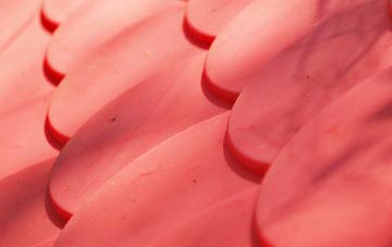 Twerton plastic roof costs